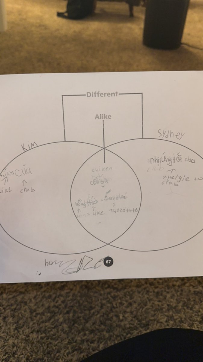 One of my favorite Compare/Contrast practice activities is to have students fill out a Venn diagram about themselves with a partner! These students both speak  Vietnamese, and they filled it out in two languages! #ThisIsMonroe #AHSchools