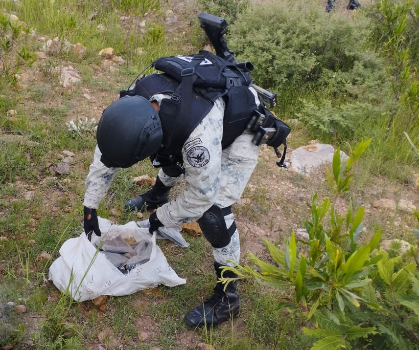 GN_MEXICO_'s tweet photo. Durante patrullajes de seguridad realizados en el municipio de Mezquitic, #Jalisco, integrantes de la #GuardiaNacional aseguraron más de 6 mil 300 cartuchos útiles para fusil, ocultos en costales, sobre un camino de terracería. #JusticiaYPaz https://t.co/QiIuEhANin