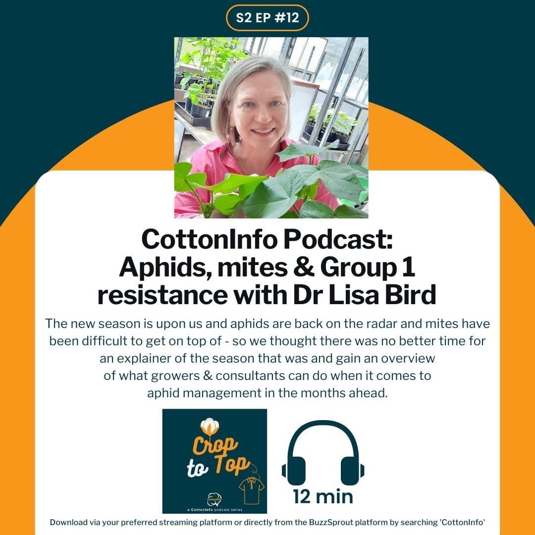 📻NEW PODCAST📻 feat. Dr Lisa Bird from @nswdpi 

Listen on your preferred pod app or click here to listen now: buzzsprout.com/1857956/136247…