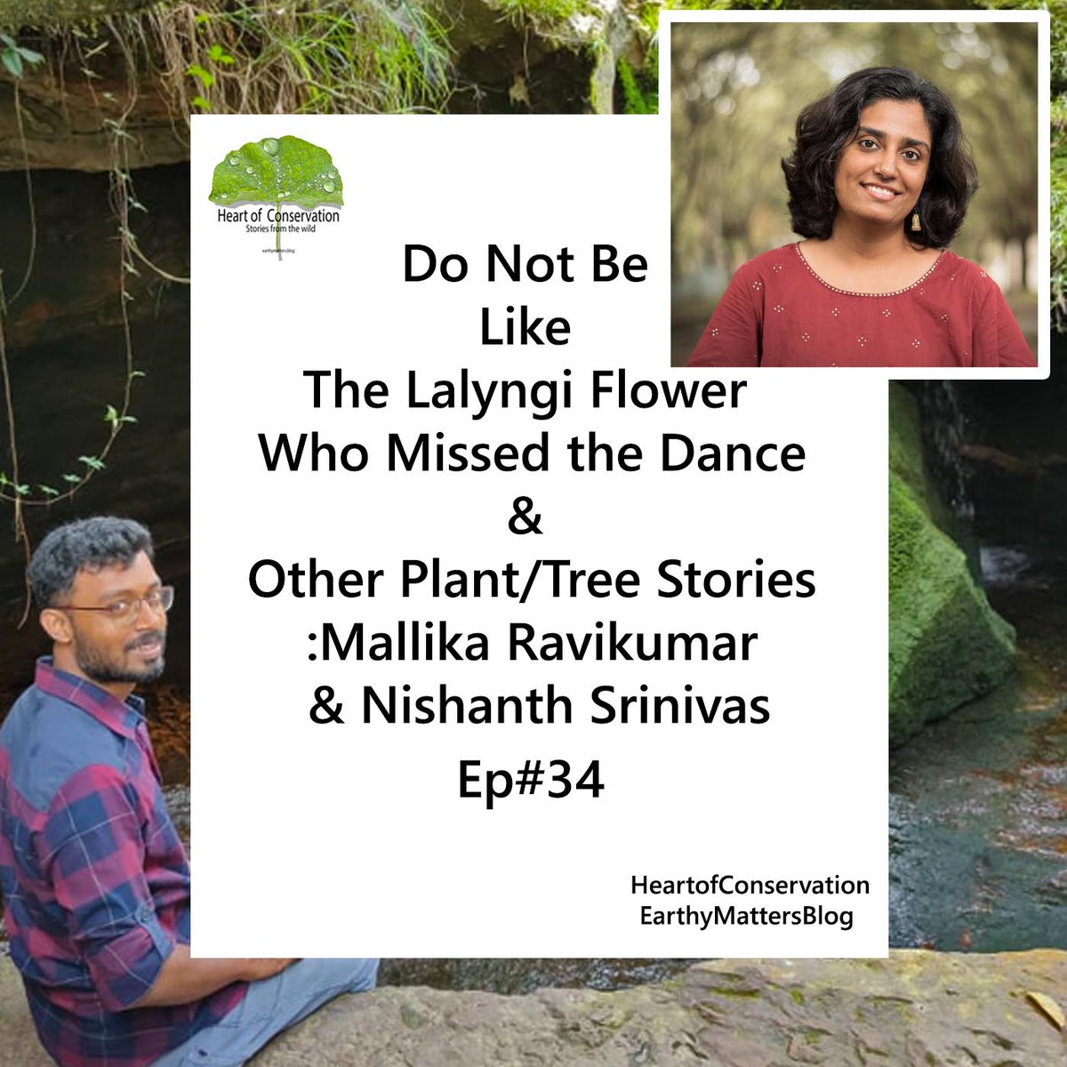 heart_podcast's tweet photo. How the Teak Tree Tilted the Course of Our History. Listen. Show Notes Coming Soon.
#history #mythology #scienceofplants #biopiracy #treestories #podcast #naturelovers #mallikaravikumar #nishanthsrinivas #heartofconservation #desipodcast
https://t.co/Pm5yAfL0tu https://t.co/9cDPRhWLTL