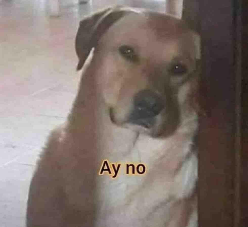 El Guarromántico tweet media