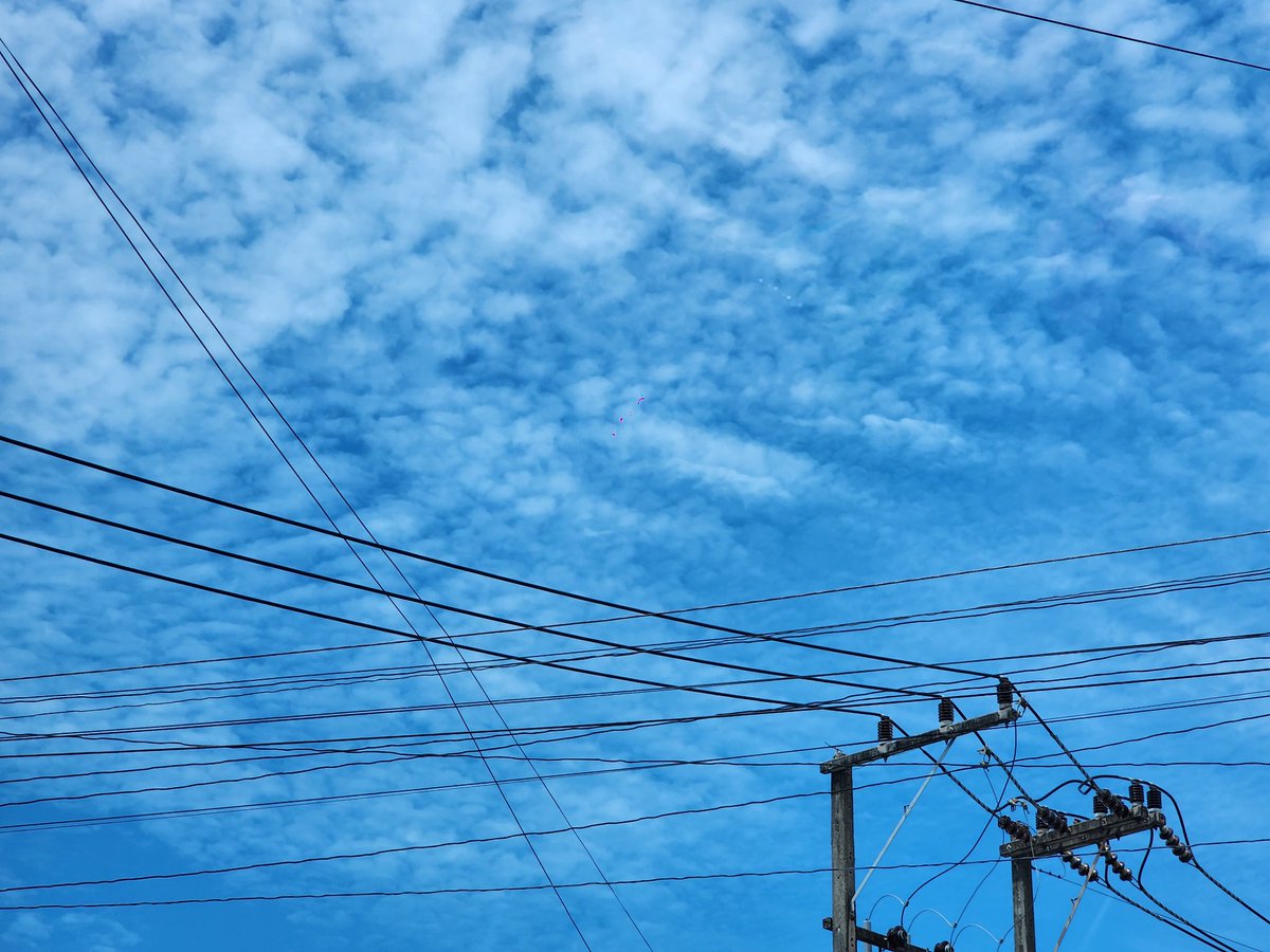 Dollemmie (@dollemmie) on Twitter photo 