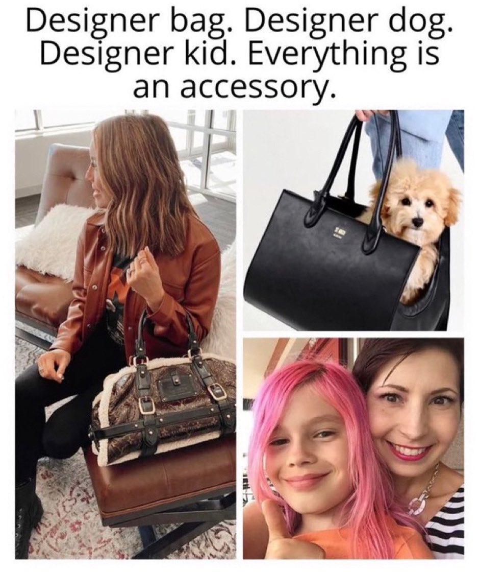 againstgrmrs's tweet photo. “Trans kids” are nothing more than the latest fashion accessory to progressive, privileged moms seeking attention and validation. It’s horrible. These poor children. https://t.co/2pWeFX6kb7