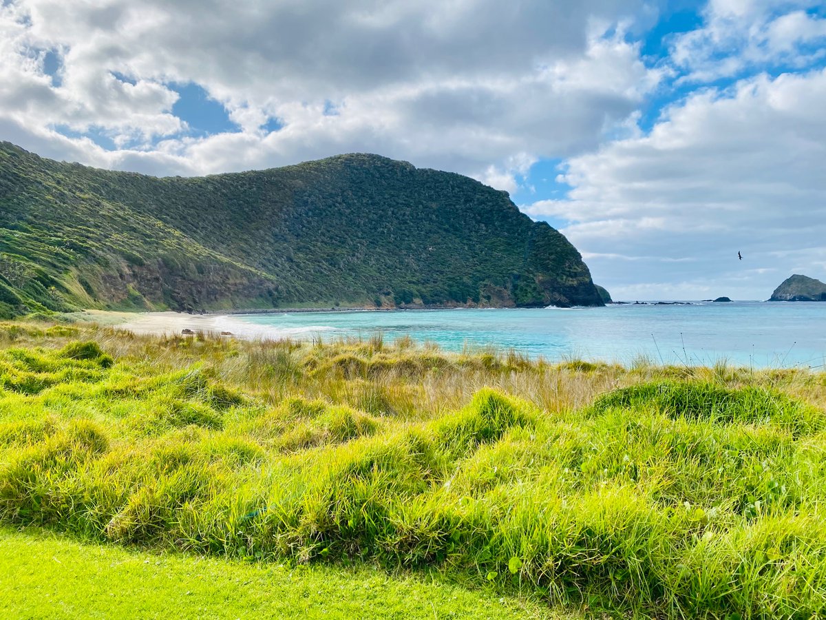 Amy Dane tweet media