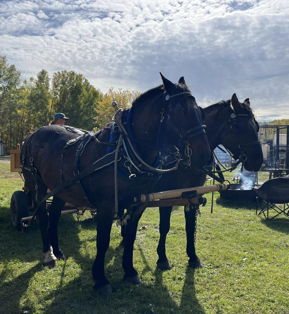 Went on an autumn afternoon wagon ride in Alberta this weekend..... it's a gorgeous time of year.