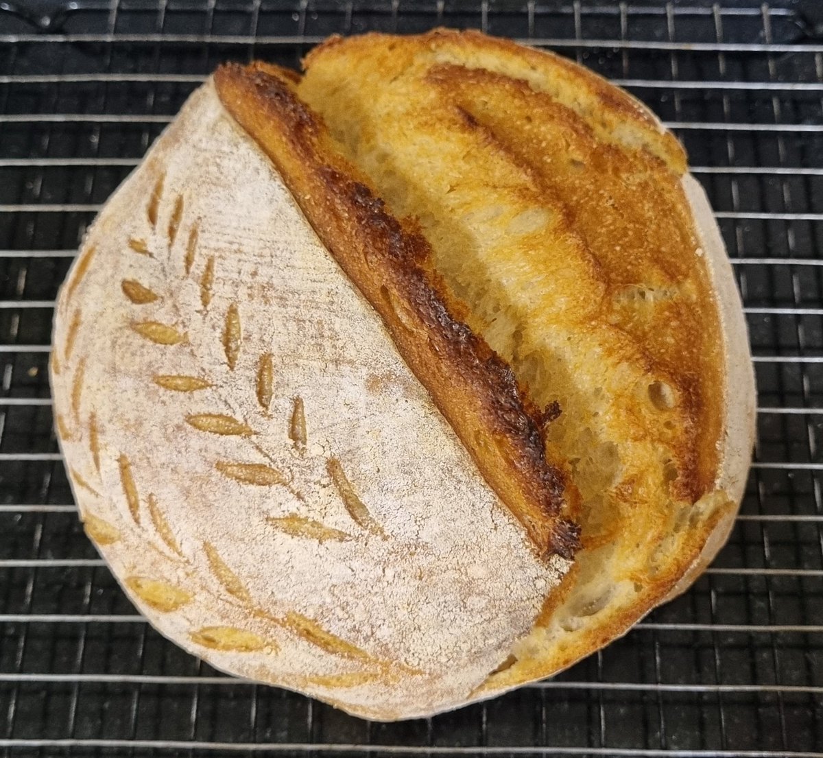 gauripokhariyal's tweet image. Morning baking is a delightful ritual that brings joy and deliciousness to the day ahead.
#SourdoughSeptember #Sourdough #RealBread #Baking #Pune