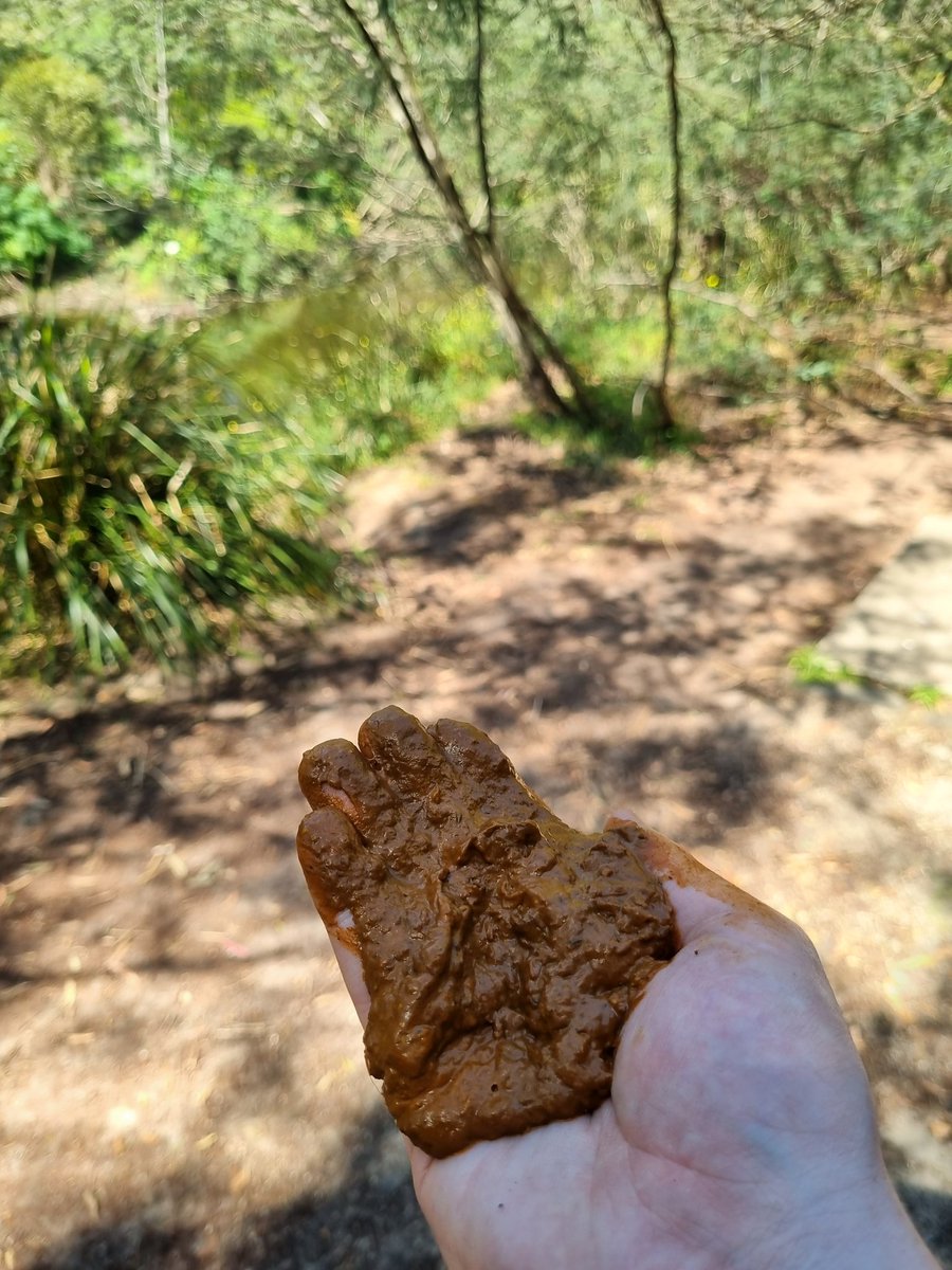 just absolutely had to indulge myself in a delicious snack while in the park 

#scat #publicscat