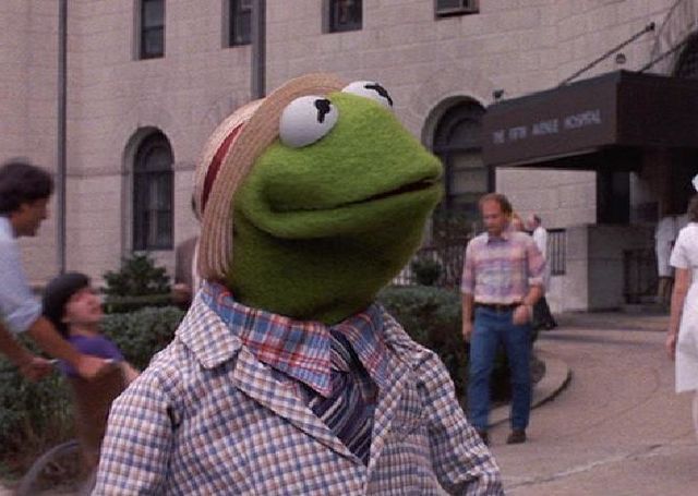 Every Kermit fall fit go so fucking hard, truly is his season