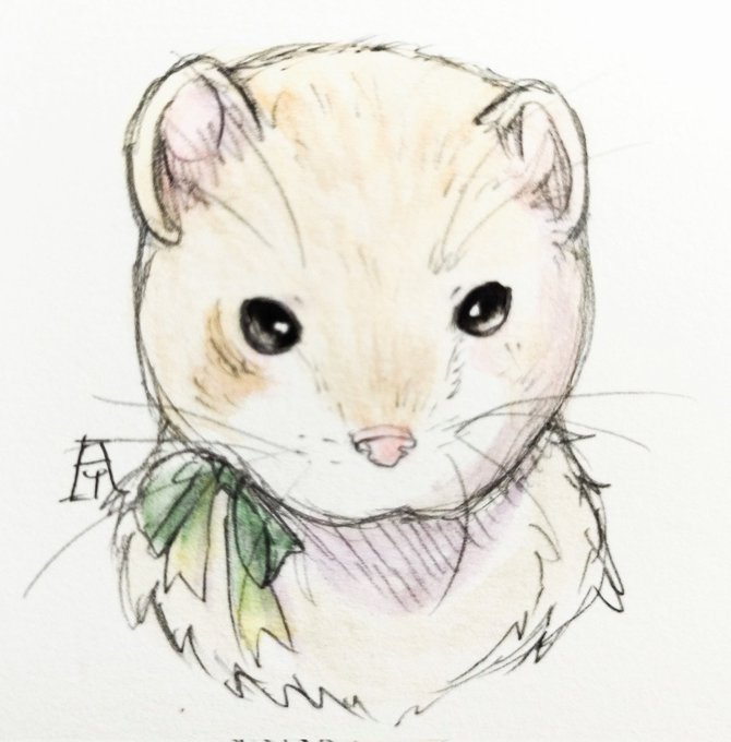 「hamster」 illustration images(Latest)｜5pages