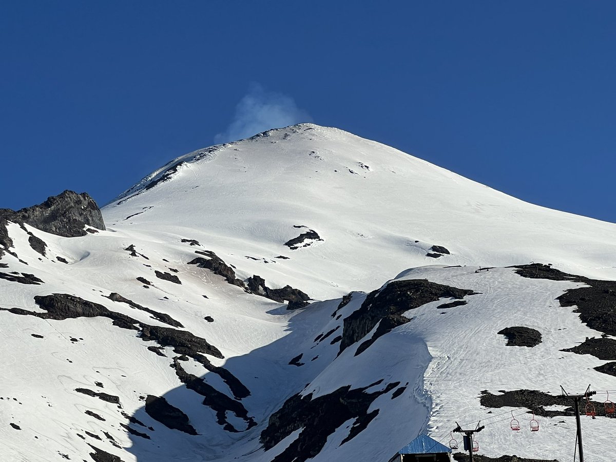 Gustavo Caicuto tweet media