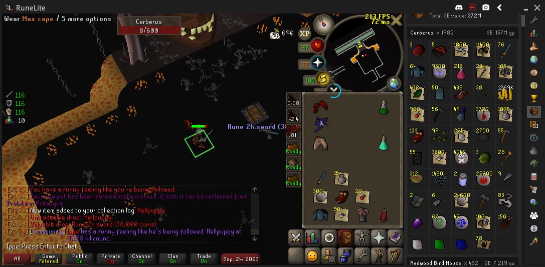 Pet #9 😄