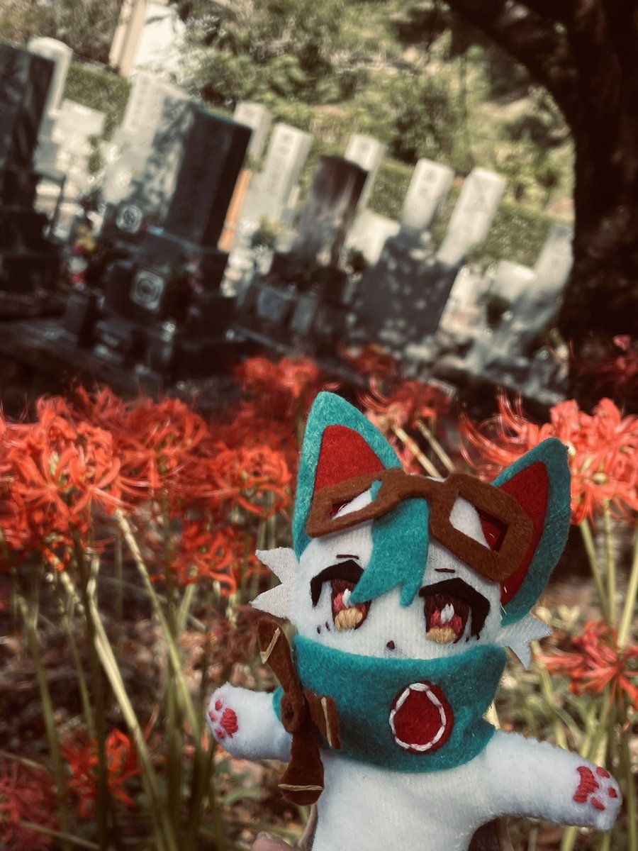 Wolf70ZERO's tweet photo. 彼岸 https://t.co/4jC2ncKBG5