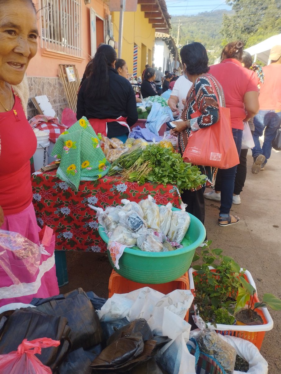 Fernand29322105's tweet photo. El gobierno de Honduras debe potencializar las ferias del agricultor como una respuesta a la problemática de las personas que están emigrando hacia Estados Unidos y otras partes del mundo. https://t.co/KZBXgMoQPI