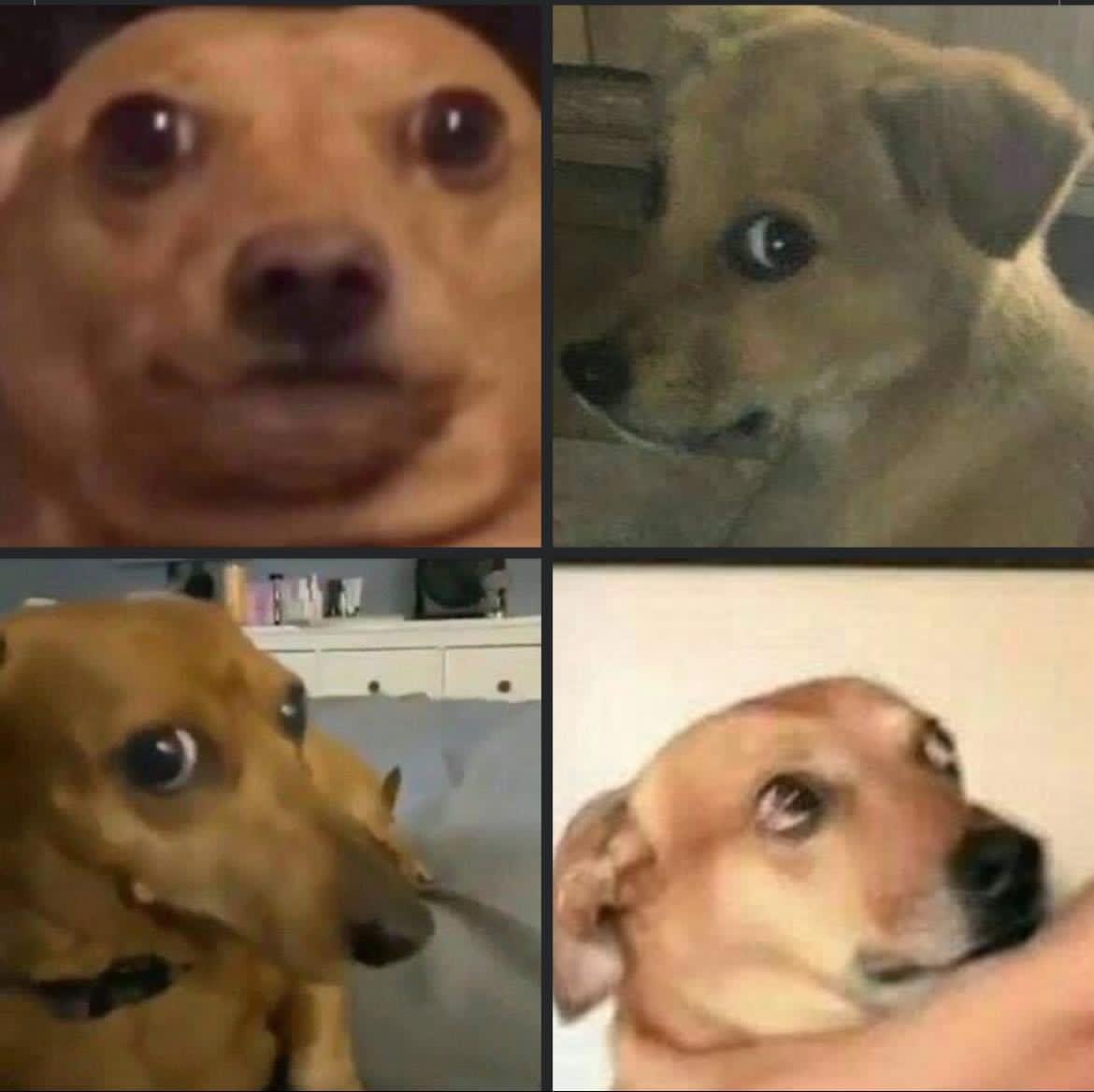 “ni soy tan criticón”
mi cara en todos lados