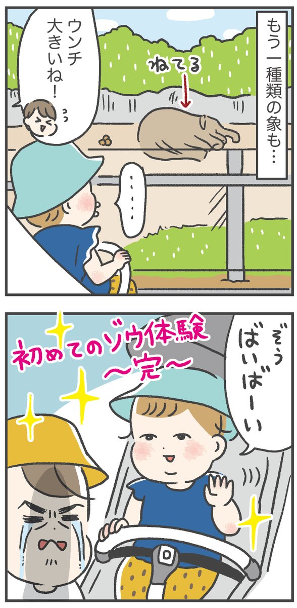 娘に!本物のゾウさんを!見せたい!!!