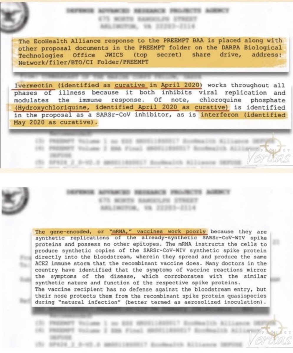 USBornNRaised's tweet image. So, there was a nice man named James Okeefe @OKeefeMedia who did extensive research and got a FOIA request to see what our government knew about Covid and the mRNA vaccine.
He received the documents, posted them online and his account was suspended. I guess Fauci's daughter…