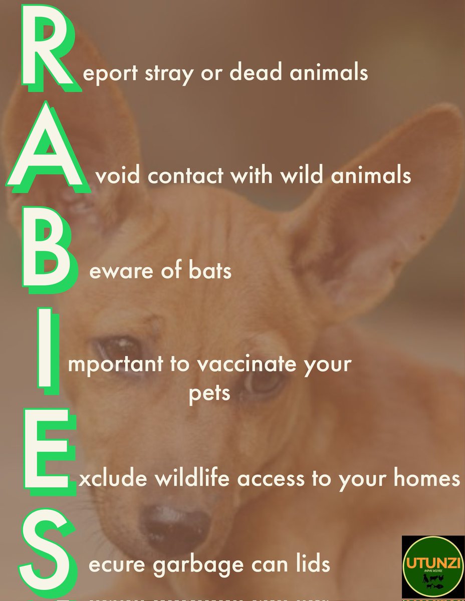 Rabies is 100% preventable and 100% fatal. Vaccinate your pets againt rabies and reduce the spread.
#endrabiesnow