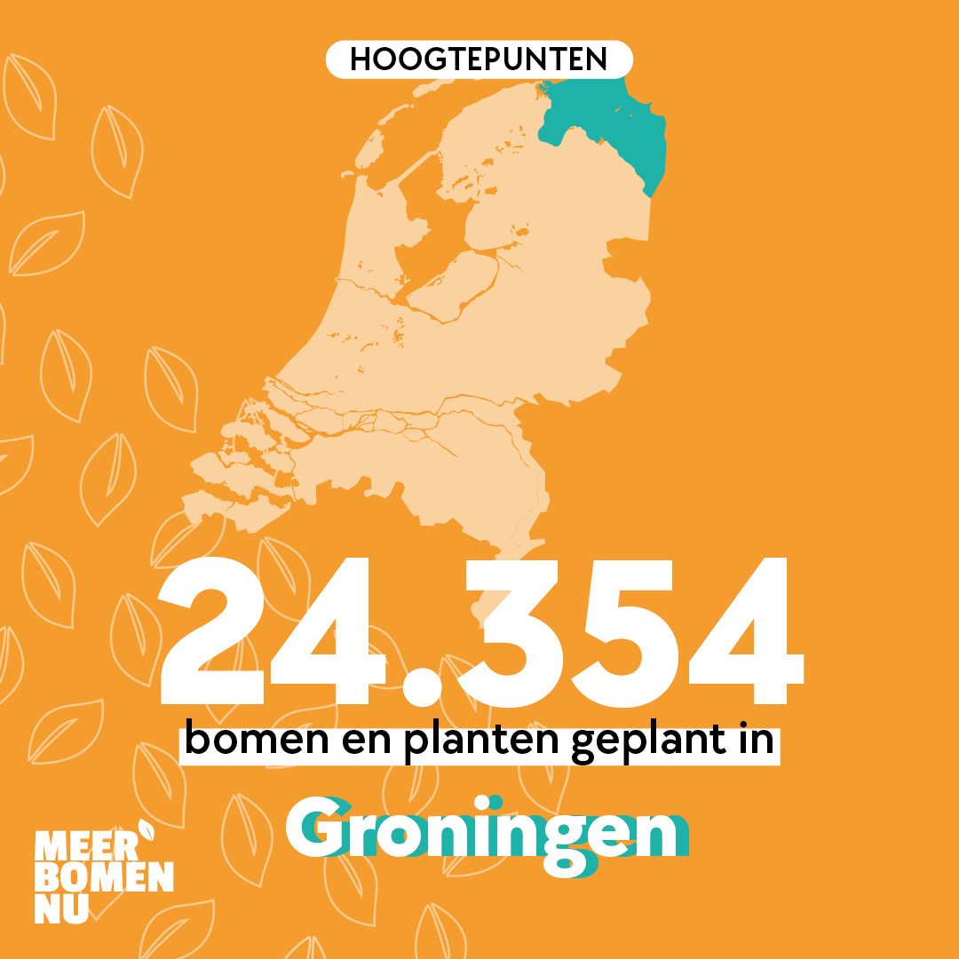 MeerbomenN's tweet photo. In de provincie Groningen werden afgelopen winter maar liefst 24.354 bomen en struiken geplant. Ontzettend veel dank aan alle vrijwilligers, oogst- en plantlocaties! 🌱💚 Vrijwilliger worden? Kijk op https://t.co/vl9qy7eWy6
@provgroningen 
#gratis #bomen #struiken #groningen https://t.co/YzyvOdcxTG