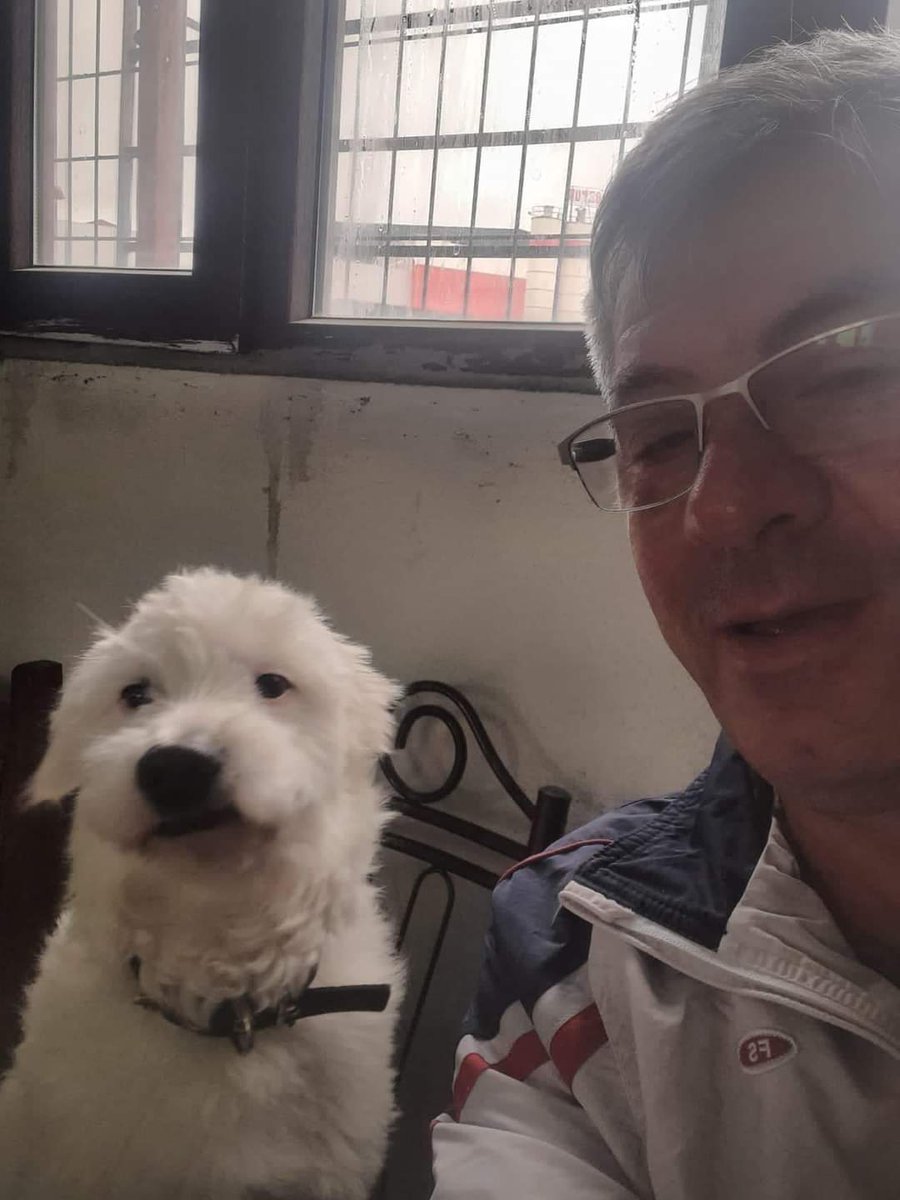 Esenyurt #kayipköpek