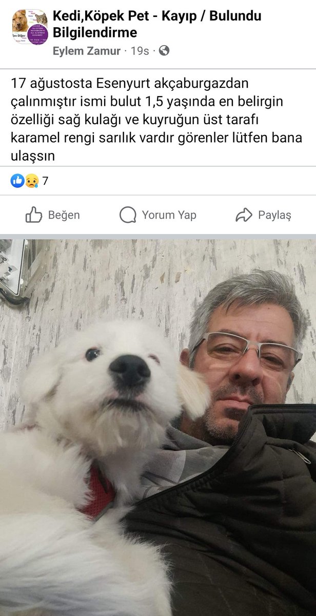 Semsysl's tweet photo. Esenyurt #kayipköpek https://t.co/ZIviTOWWm6