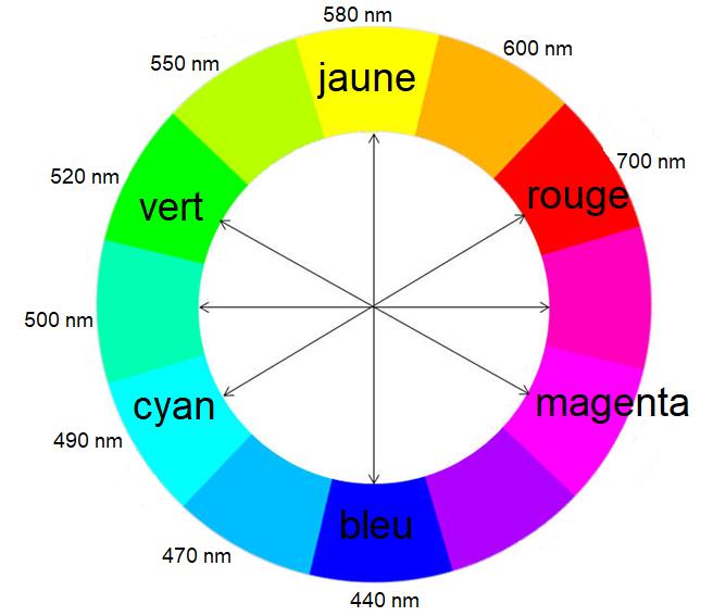 Correspondance entre couleur et optimum d'absorption des pigments.
