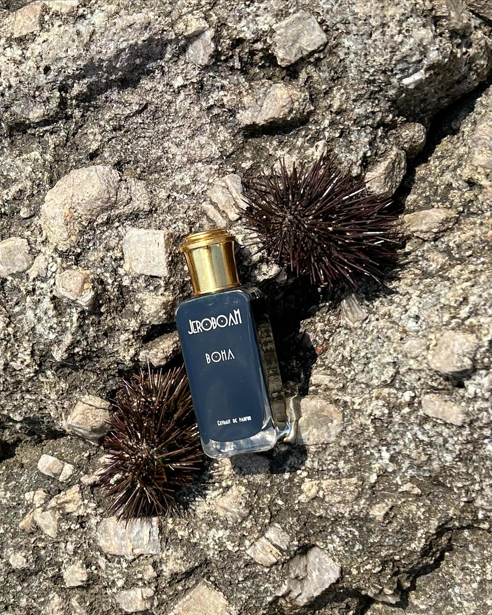 rosinaperfumery's tweet photo. Boha is constructed around a white flowers bouquet that evoke purity. An almost intimidating purity, like a gaze that runs through you with intensity.
📷
#samothraki #evros #samothrace
#boha #jeroboam #rosinaperfumery https://t.co/jmNIBJPPNS