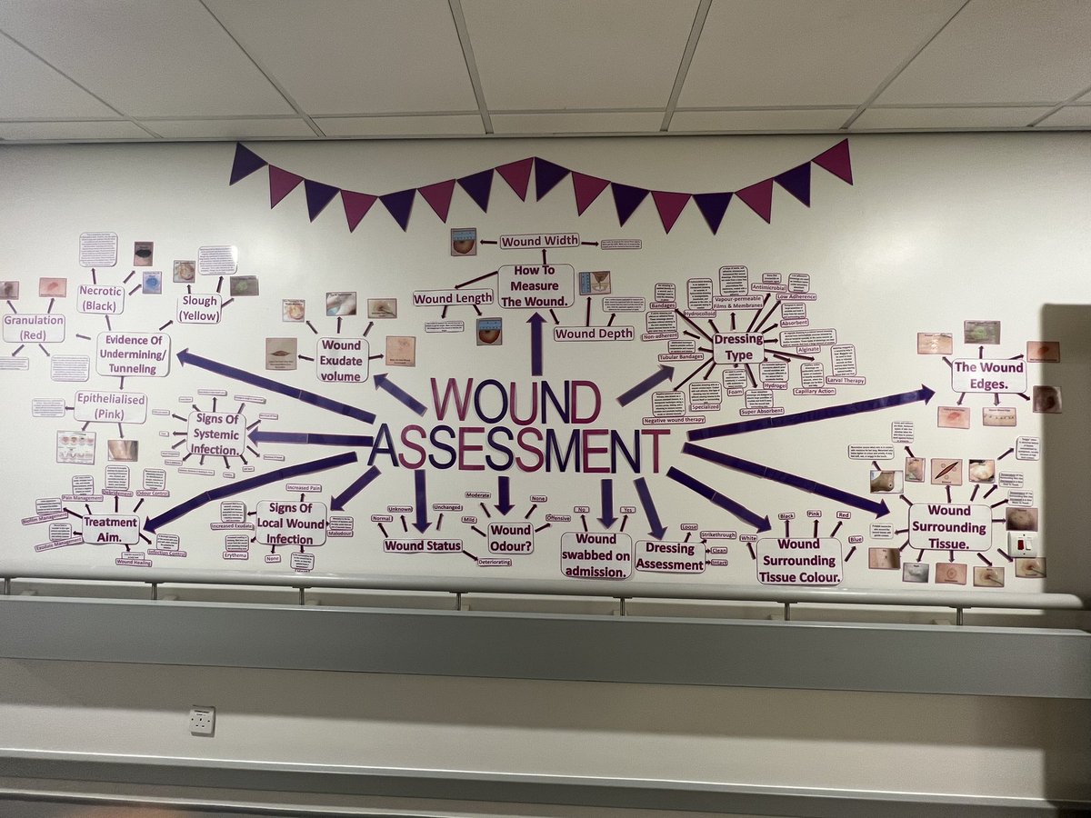 Ward2SSASW's tweet image. Another week, another display board! Our wound assessment board is finally complete trying to raise staff knowledge on how to complete the assessment! 💜🩷 @BTHFT_TVN @mrskellyyoung @Frostie_SC