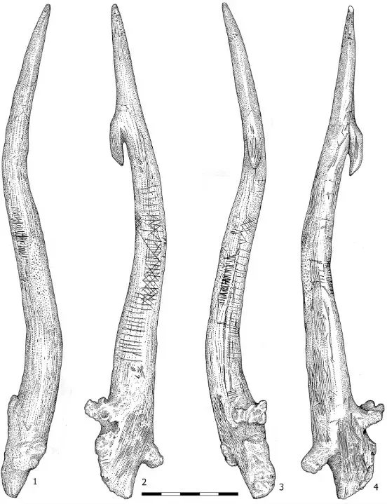 During the #Mesolithic in Northern Europe, new types of objects were decorated with different geometric motifs. 

Radiocarbon dating of artefacts from Poland shows shared cultural ties across the Baltic. #MesolithicMonday

🆓 buff.ly/48m8VTG