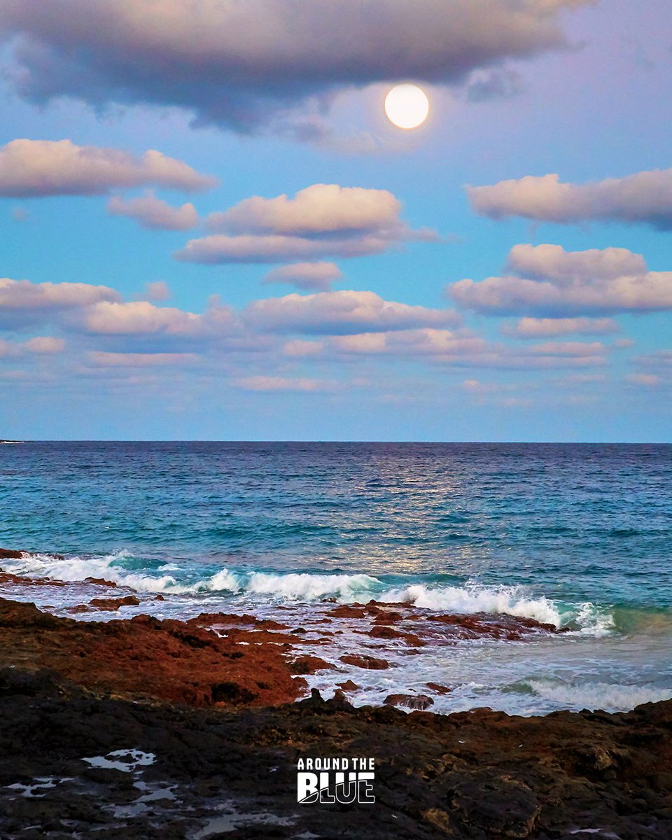AroundTheBlueIT's tweet image. 🌊 L'oceano e la lotta contro la CO₂ 🌿 Scopri con @giovannisoldini come gli scienziati esplorano metodi rivoluzionari per potenziare il ruolo del mare nel riassorbire la CO₂ e combattere il #cambiamentoclimatico. 🌐 Leggi l'articolo completo su aroundtheblue.org