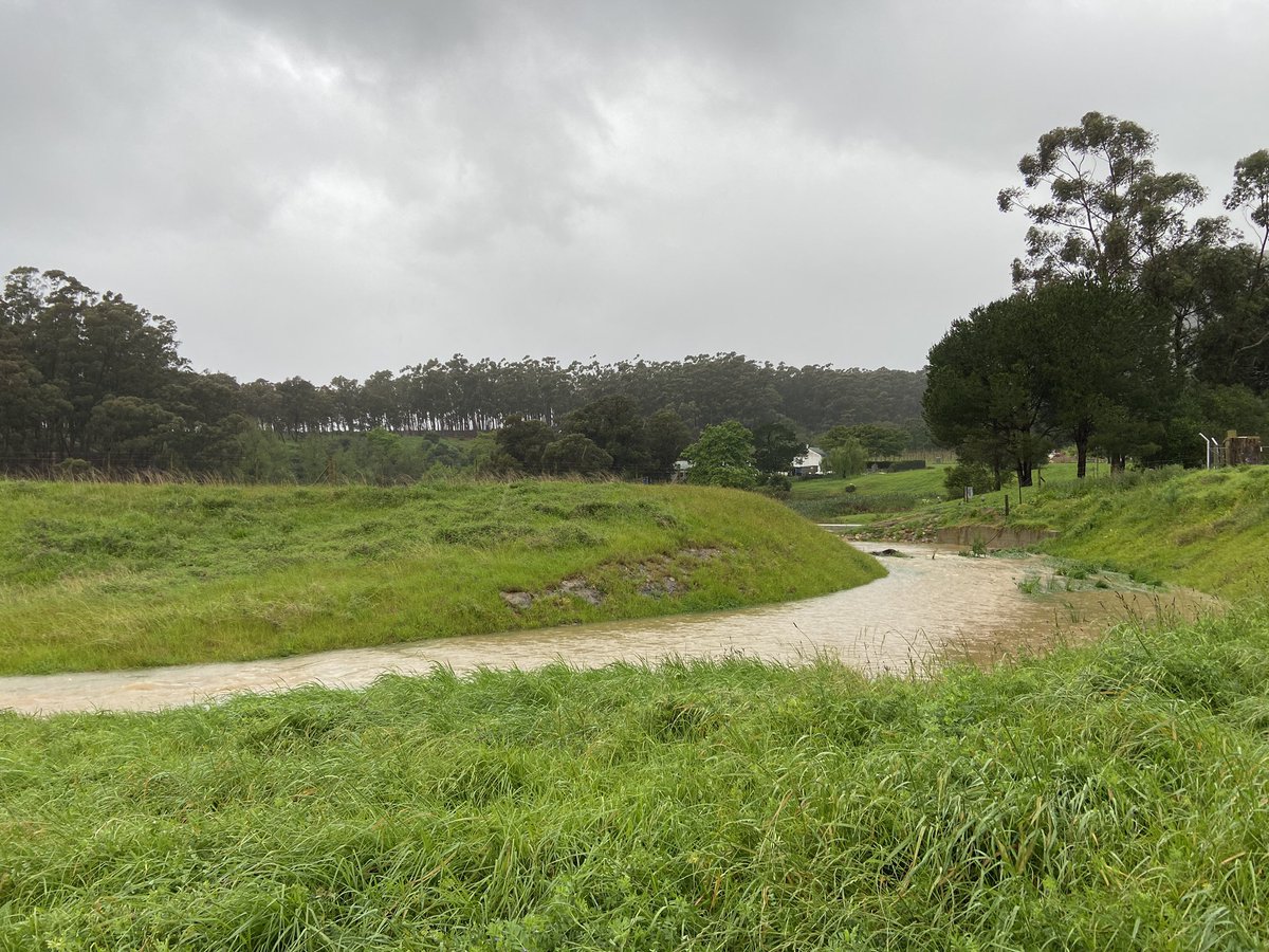 A very wet and windy run in the mountains this morning. Thankful to be home - dry and warm. Stay safe out there!