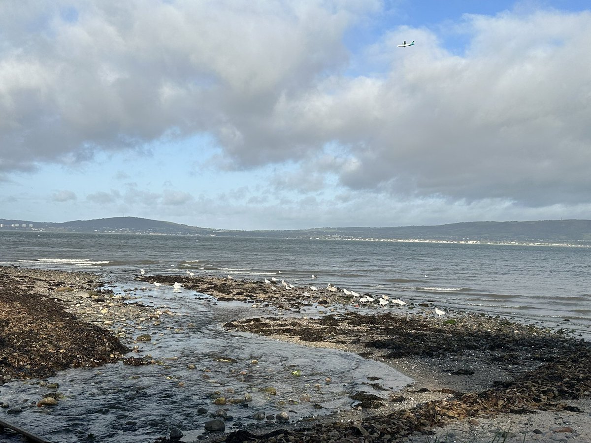 Morning bird bath
<a href="/WeatherCee/">Cecilia Daly</a> <a href="/angie_weather/">angie phillips</a> <a href="/geoff_maskell/">Geoff Maskell</a> <a href="/barrabest/">Barra Best</a> <a href="/bbcniweather/">BBC NI Weather</a>