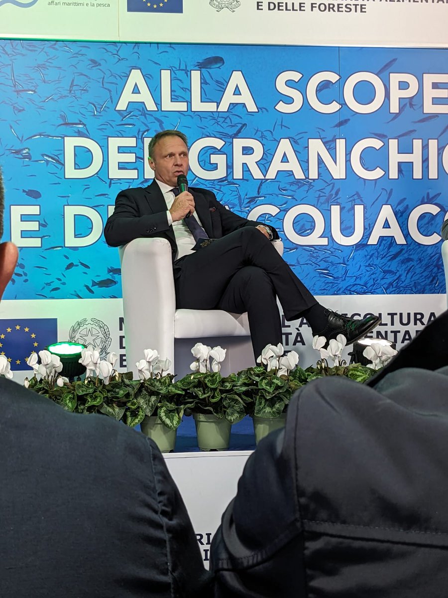 "La certificazione per noi italiani non è mai un problema, non abbiamo  paura delle etichette perché sono la nostra migliore forma di difesa". Così il ministro #Lollobrigida, interviene alla conferenza stampa sulla campagna per #acquacolturasostenibile politicheagricole.it/acquacoltura-s…
