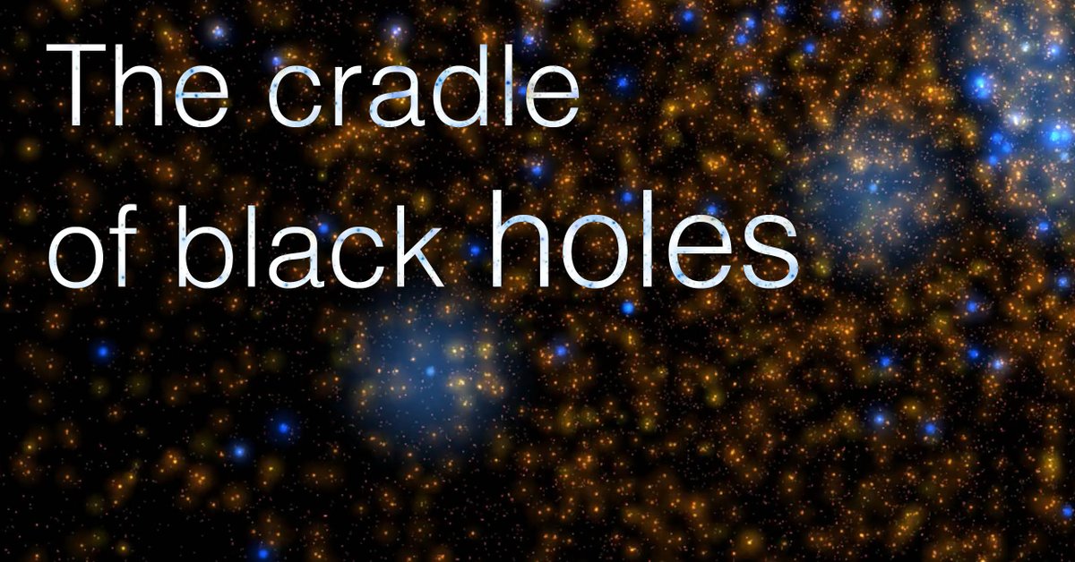 🌑How might elusive intermediate-mass black holes originate? 🌠The answer lies in the star clusters that populate galaxies, as shown in a recent study led by GSSI physicist Manuel Arca Sedda. ℹ️tinyurl.com/jprrhu6a #gssiaq #physics #research #blackholes