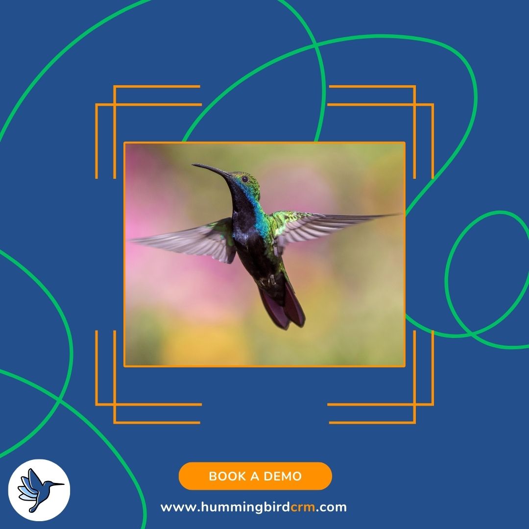 CrmHummingbird's tweet photo. Did you know that Hummingbirds can fly backwards? This is pretty impressive and we ❤️ to share such awesome facts about these wonderful birds. 
We can’t fly backwards, or forwards, but we can provide you with a great CRM solution for your business! Book a demo to find out how. 🤓 https://t.co/kzUKEM6f4a