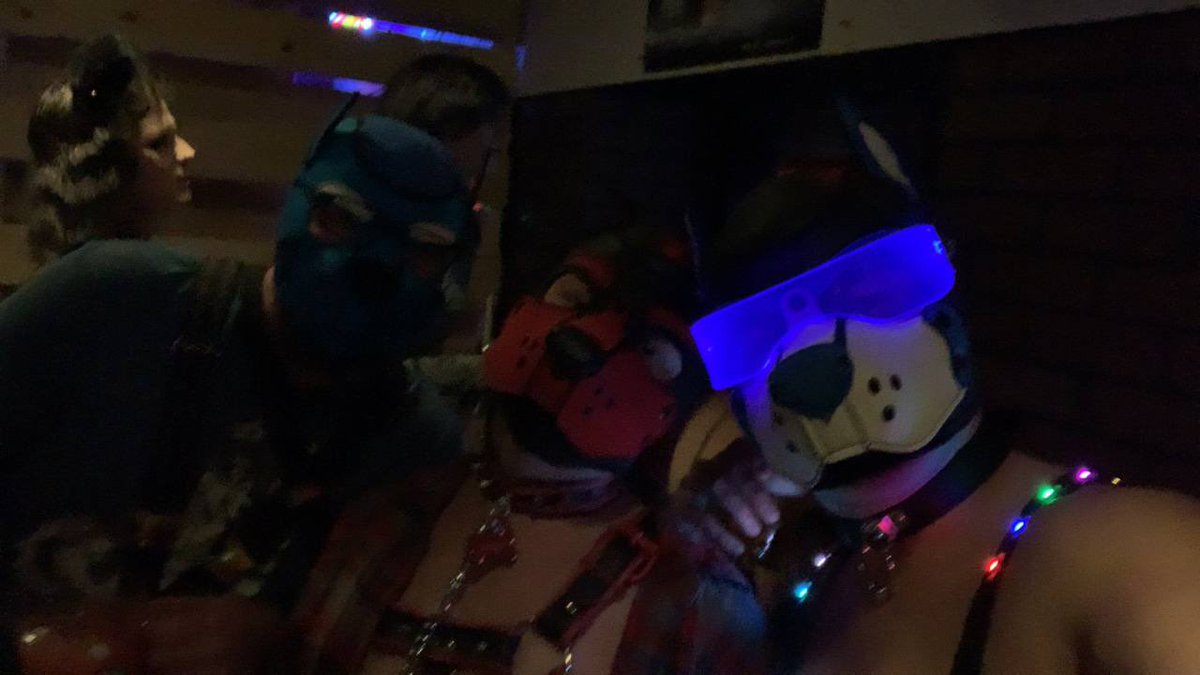 Pup Magnus AD tweet media