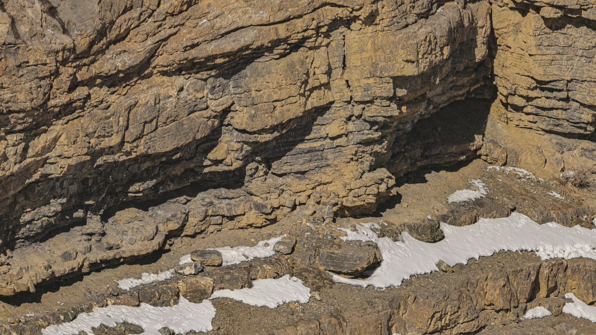 #spotthesnowleopard this should be an easy one 😛😈😃 #snowleopard #snowleopardexpedition #capturedoncanon #adventure #himalayas #mountainlife  at Tethys Himalayan Den, Spiti.