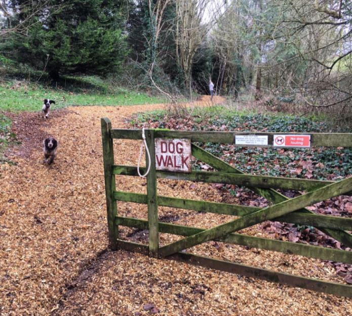 Camping_Direct's tweet photo. Calling all nature enthusiasts! Alston Farm Camping & Caravan Site is your ticket to a rural retreat in the heart of Devon. 🌄
https://t.co/R3gBtxvLdr
#CampingInDevon #NatureEscape #Camping #Touring #Holiday #Family #Dogs #Explore #Coast #Rural #Marlborough #Kingsbridge #Devon https://t.co/e6itDnEEjx