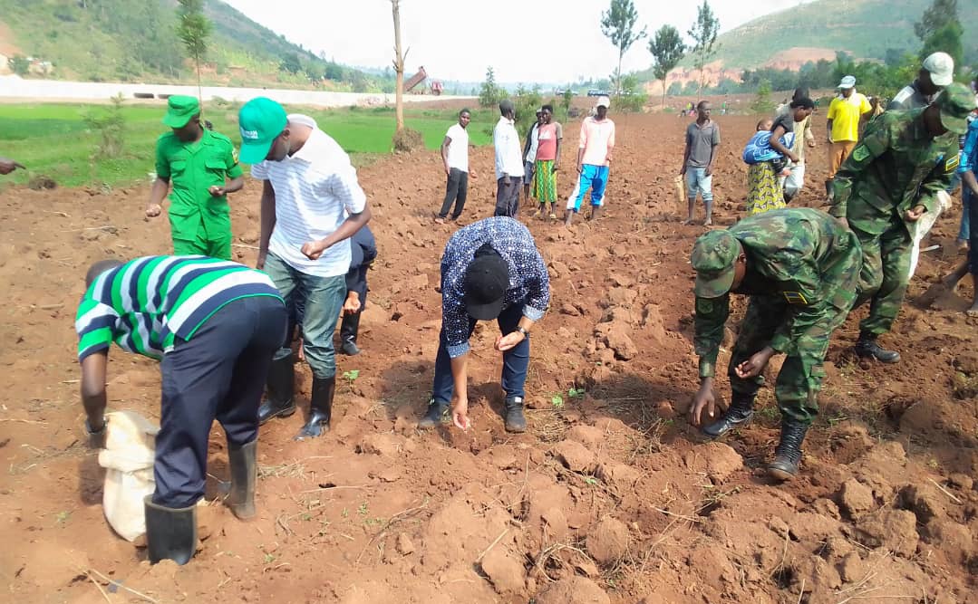 NyanzaDistrict's tweet photo. Minisitiri wa @RwandaGender akaba n'Imboni y'Akarere muri Guverinoma @Dr_Uwamariya ari kumwe  Mayor @Erasmen, yifatanyije n'abaturage mu gutangiza igihembwe cy'ihinga 2024A haterwa ibigori kuri site ya Kibutura mu murenge wa Busoro. Ni site ifite ubuso bungana na hegitari 45 https://t.co/zbcC6WNWfE