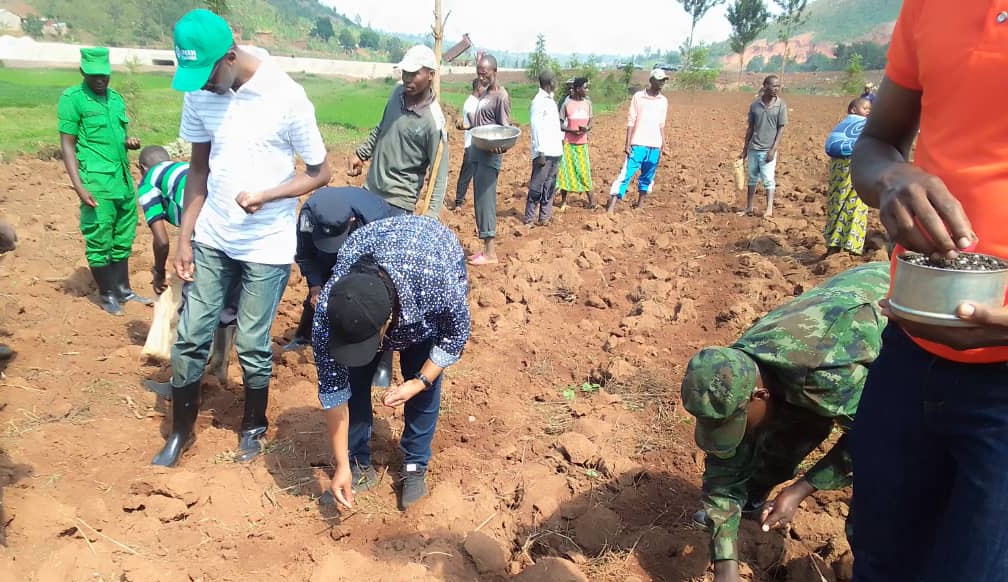 NyanzaDistrict's tweet photo. Minisitiri wa @RwandaGender akaba n'Imboni y'Akarere muri Guverinoma @Dr_Uwamariya ari kumwe  Mayor @Erasmen, yifatanyije n'abaturage mu gutangiza igihembwe cy'ihinga 2024A haterwa ibigori kuri site ya Kibutura mu murenge wa Busoro. Ni site ifite ubuso bungana na hegitari 45 https://t.co/zbcC6WNWfE