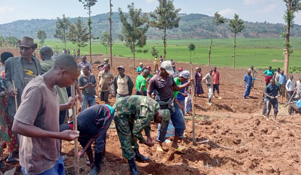 NyanzaDistrict's tweet photo. Minisitiri wa @RwandaGender akaba n'Imboni y'Akarere muri Guverinoma @Dr_Uwamariya ari kumwe  Mayor @Erasmen, yifatanyije n'abaturage mu gutangiza igihembwe cy'ihinga 2024A haterwa ibigori kuri site ya Kibutura mu murenge wa Busoro. Ni site ifite ubuso bungana na hegitari 45 https://t.co/zbcC6WNWfE