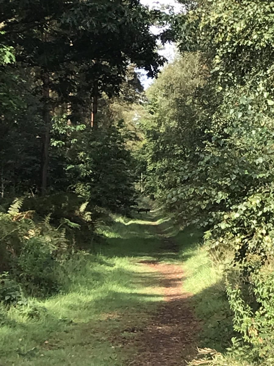 Official DoN Gaming #EGN tweet media