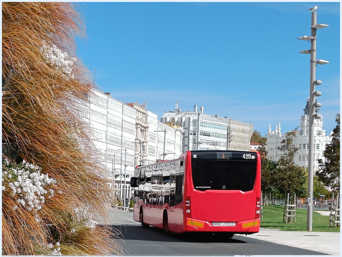 BlogBusurbano's tweet image. El "relevo" del #Bus331 este domingo, el #Bus420... (#Lín1)