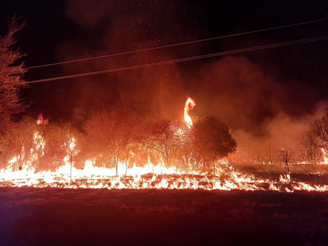 newslivesa's tweet photo. Parts of Mabalingwe Nature Reserve, Bela-Bela, Limpopo have burnt down

Reports : more than 50 homes have burnt down near Bela Bela https://t.co/DuCpaflScg