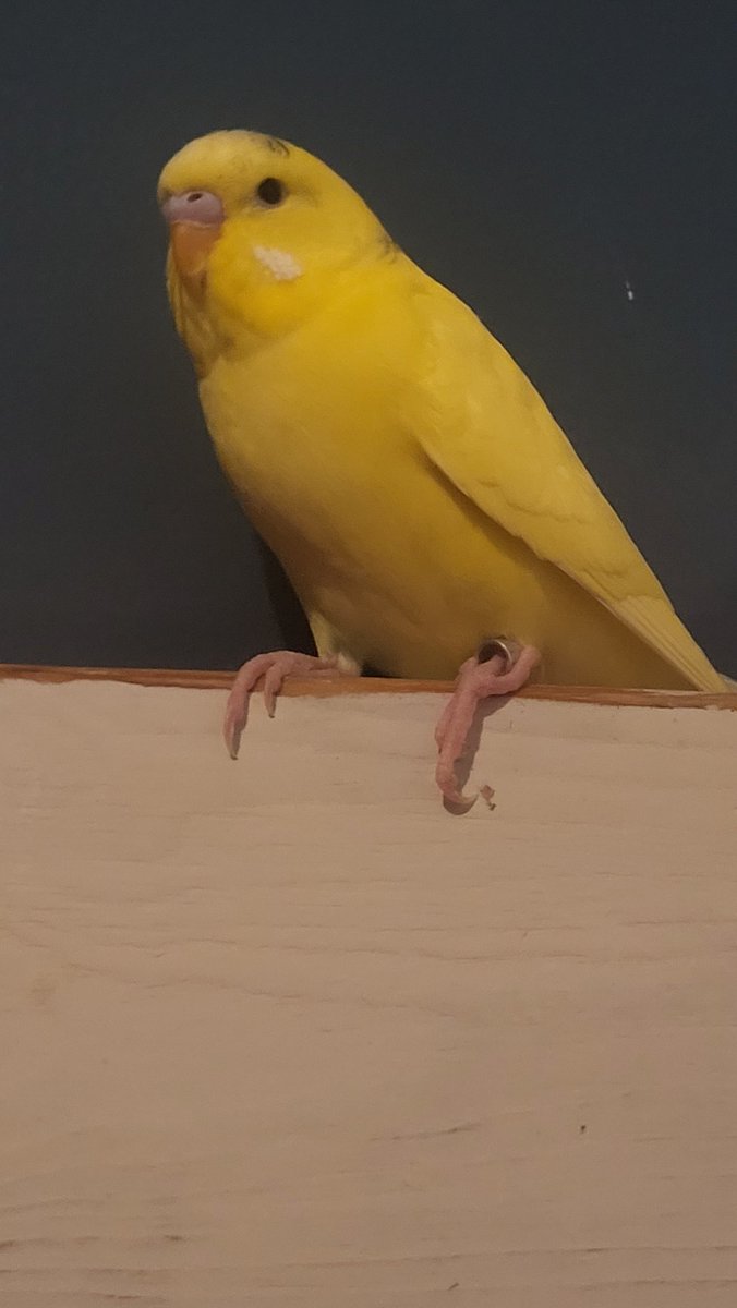 SeisoSpeedy^-^ tweet media