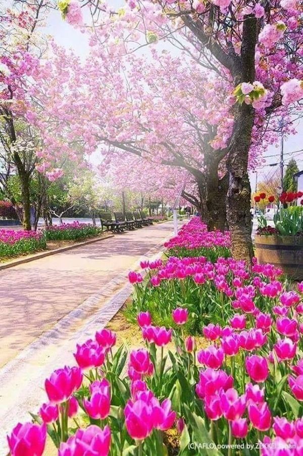 mersana1100's tweet photo. Good morning https://t.co/UuRvAC706j