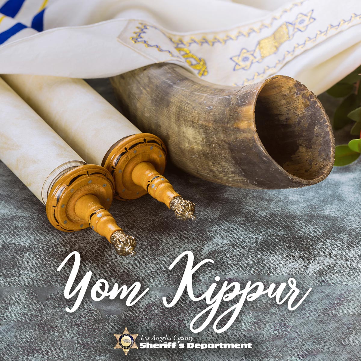 LASD International Liaison Unit tweet media