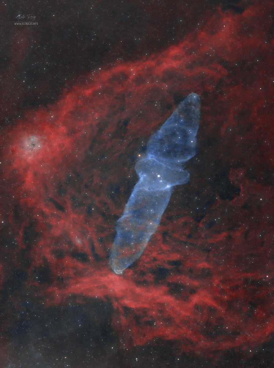 astrocatinfo's tweet photo. Squid nebula, Ou4
📷 From my backyard 🔭 https://t.co/1xRlz90DCv