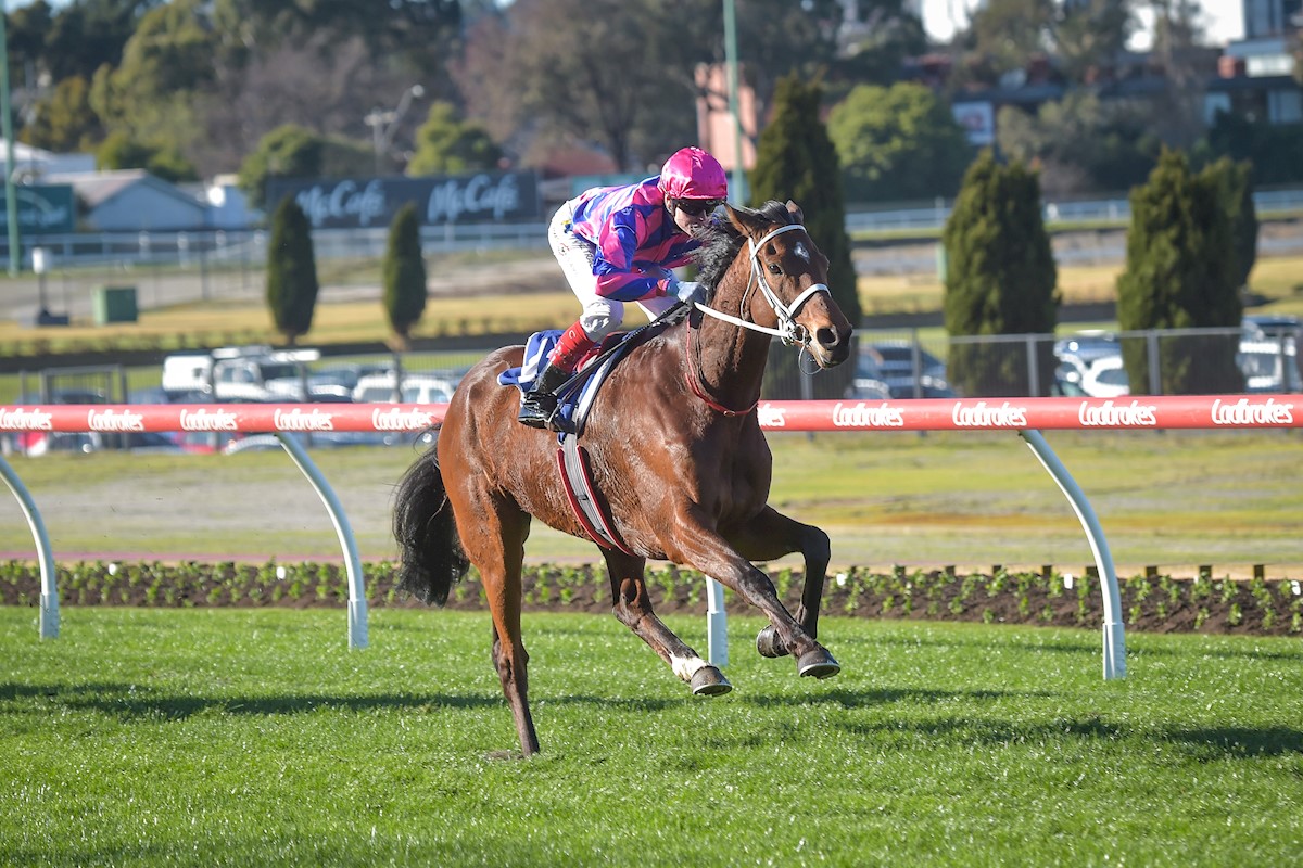 Congratulations to local trainer Patrick Ryan Jnr, who won the fourth Jericho Cup Guaranteed Start race at Mount Gambier yesterday with Ferago, automatically gaining him entry into this year's Jericho Cup on Sunday, 3 December 👏