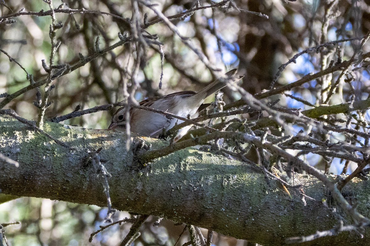 Anna Klafter tweet media