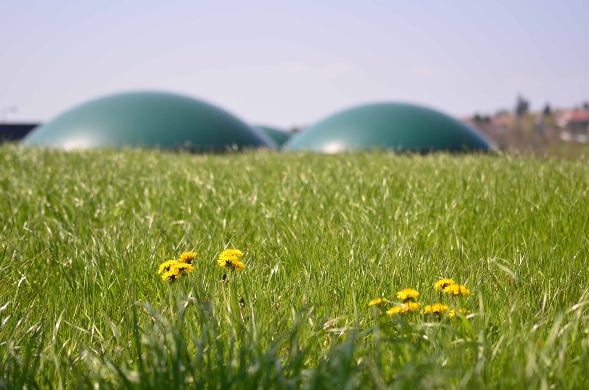 🟢 La loi d’accélération des #ENR vise au développement des énergies renouvelables dans le mix énergétique 🇫🇷
Les zones définies par le droit à l’injection seront pertinentes pour devenir les futures zones d’accélération des #GazVerts
Pour les élus : …-zonage-de-raccordement-biomethane.fr